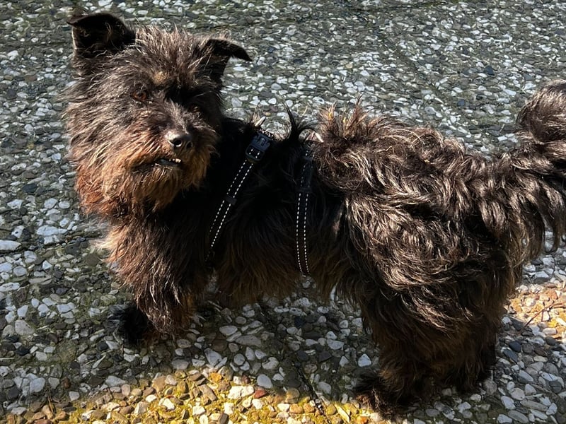 Frohnatur Ronja möchte die Welt entdecken