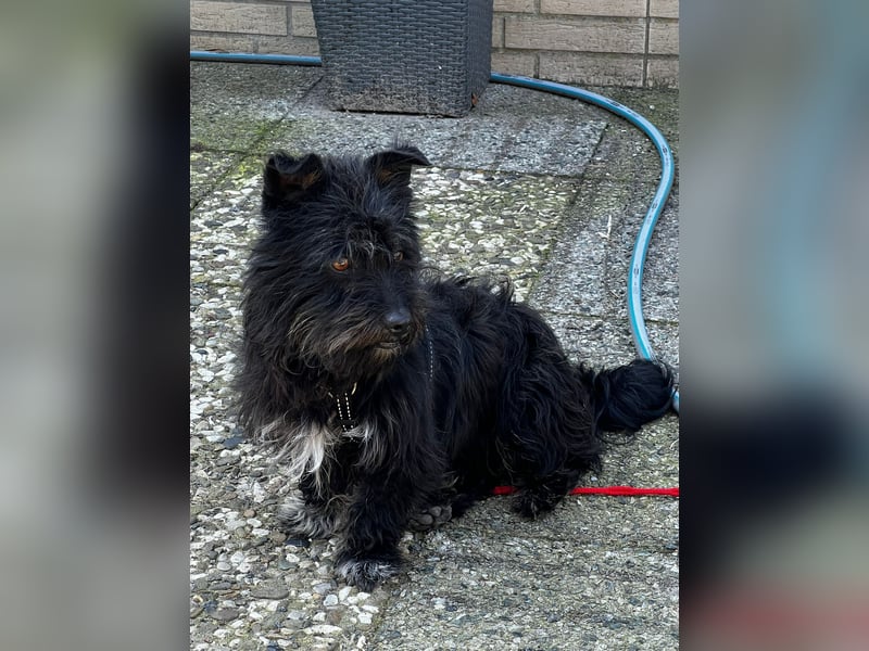 Frohnatur Ronja möchte die Welt entdecken