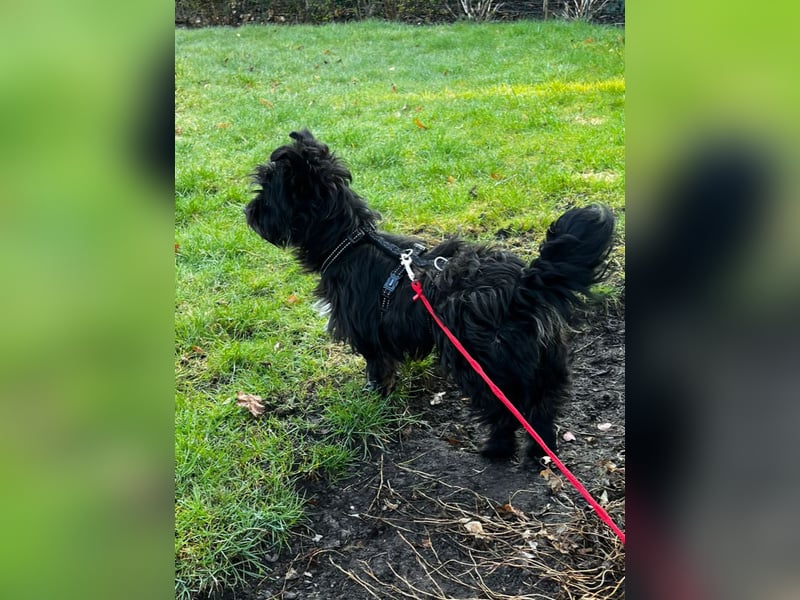 Frohnatur Ronja möchte die Welt entdecken