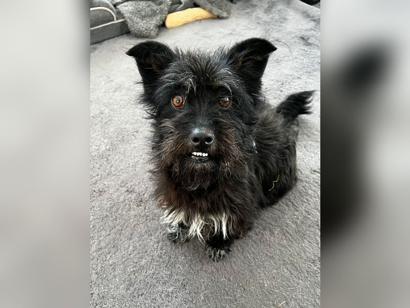 Frohnatur Ronja möchte die Welt entdecken