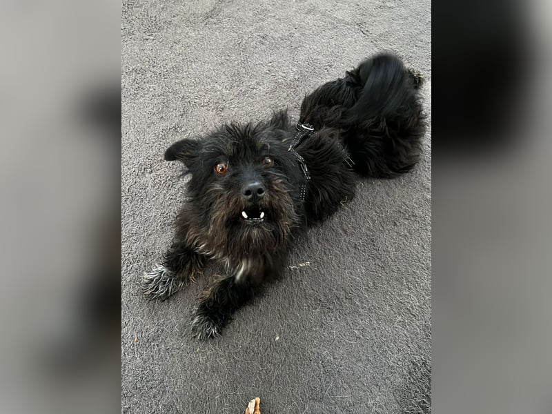 Frohnatur Ronja möchte die Welt entdecken