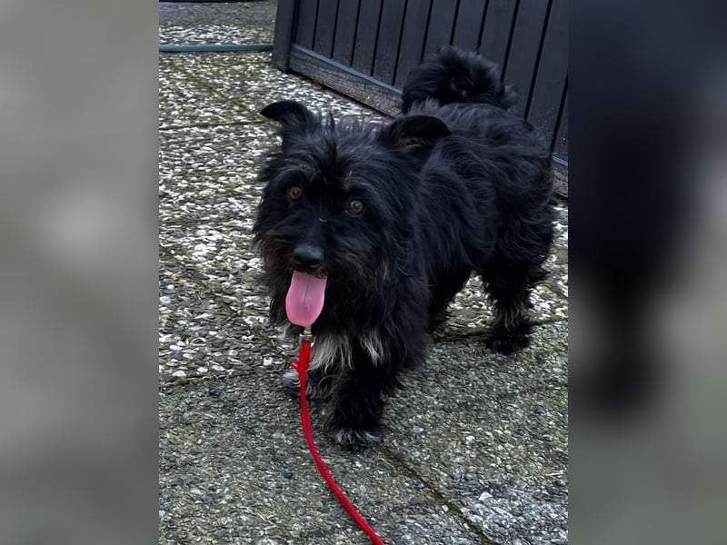 Frohnatur Ronja möchte die Welt entdecken