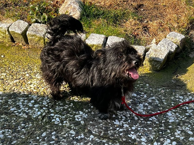 Frohnatur Ronja möchte die Welt entdecken