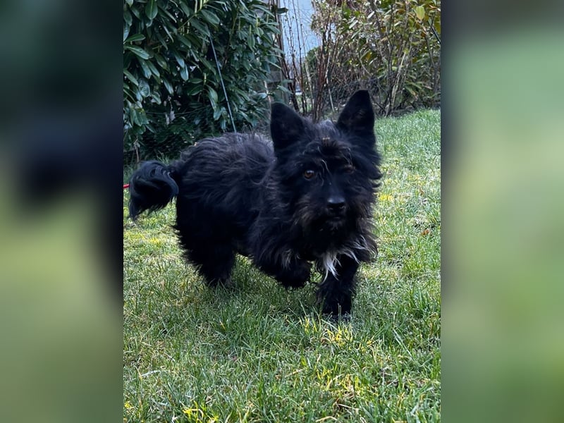 Frohnatur Ronja möchte die Welt entdecken