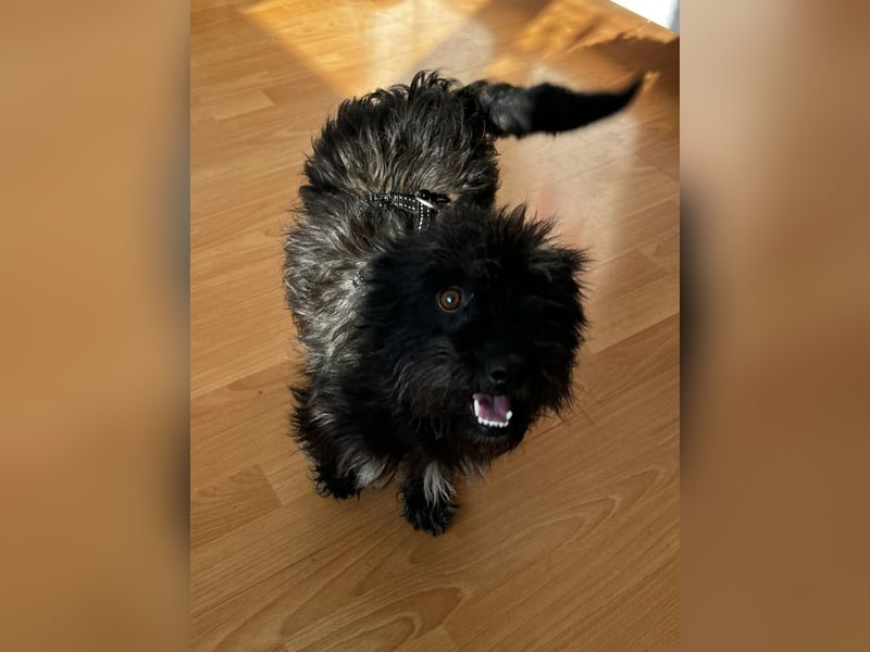 Frohnatur Ronja möchte die Welt entdecken