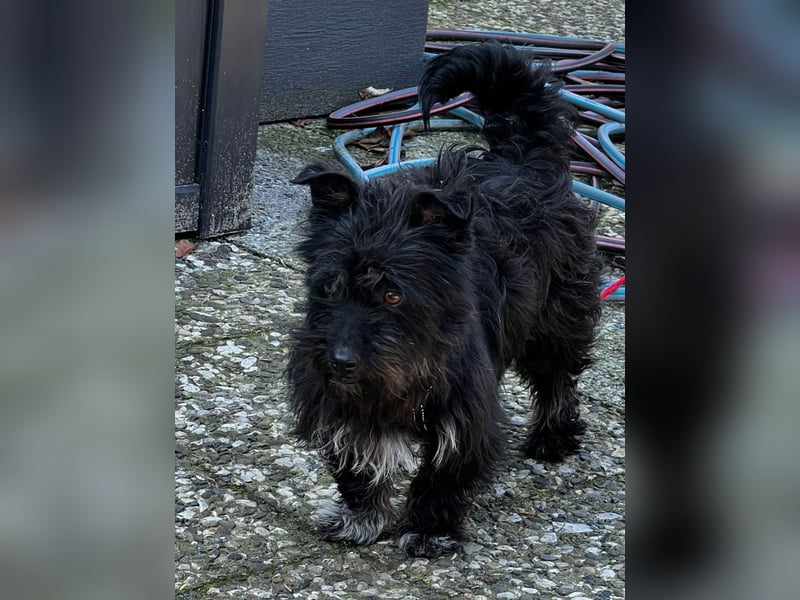 Frohnatur Ronja möchte die Welt entdecken