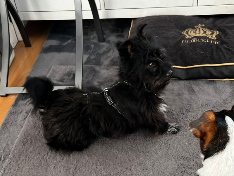 Frohnatur Ronja möchte die Welt entdecken