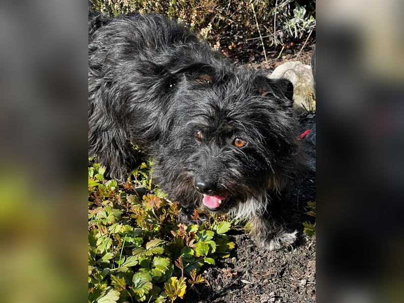 Frohnatur Ronja möchte die Welt entdecken