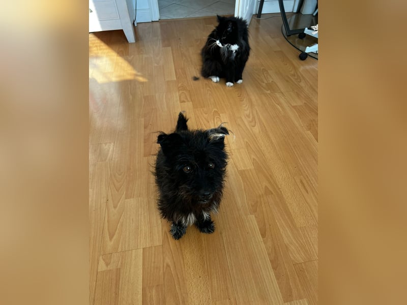 Frohnatur Ronja möchte die Welt entdecken