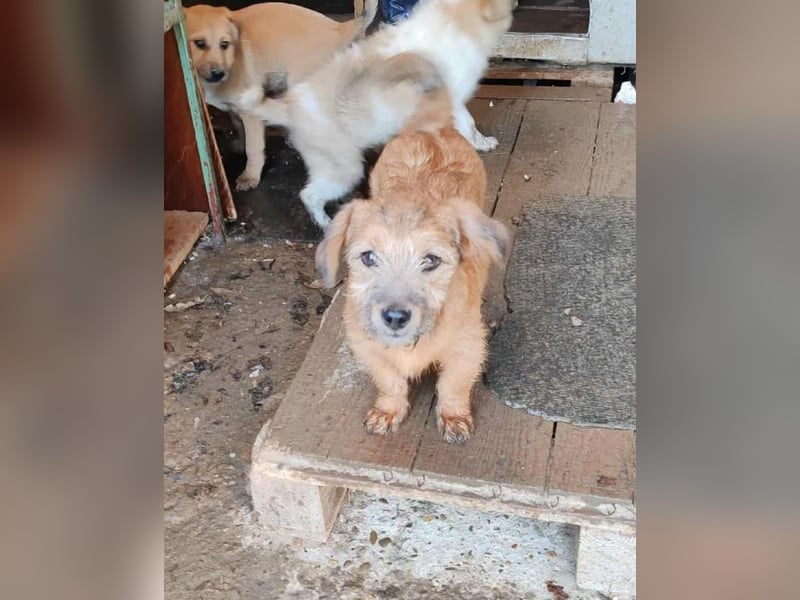 EDAN - ist bereit für sein Abenteuer