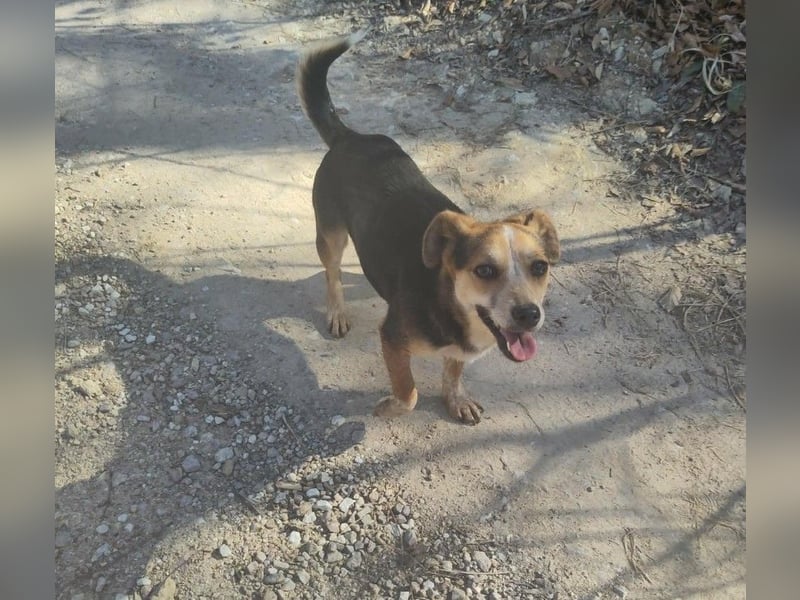 MOLLY - kleine Herzensdame