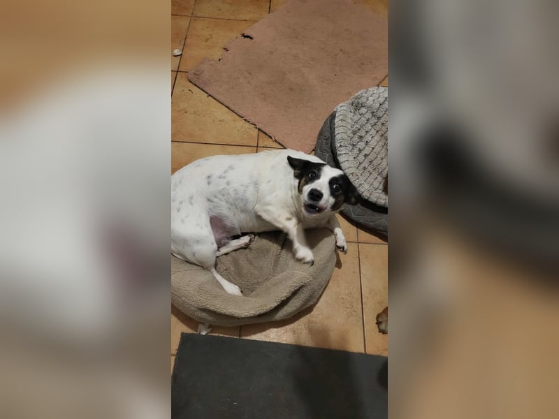 RAMONA - darf sie mit dir die Welt entdecken?