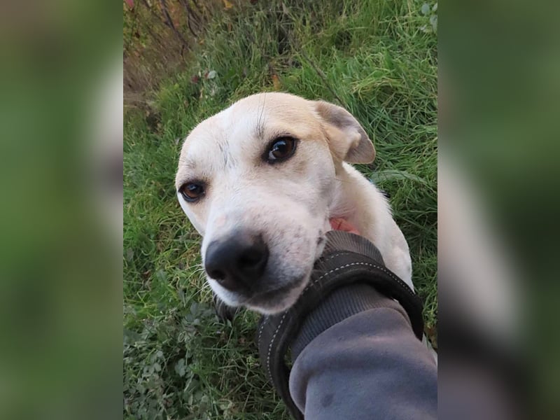 JOY - hofft auf tolle Menschen