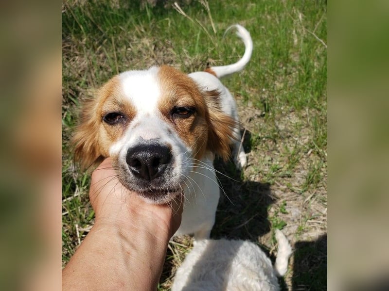 ILA - sanfte Seele sucht ihre Menschen