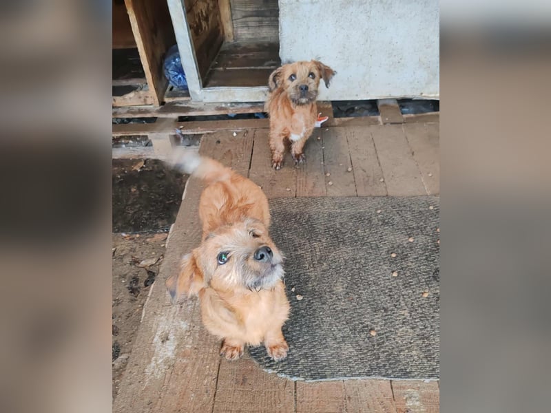 EDAN - ist bereit für sein Abenteuer