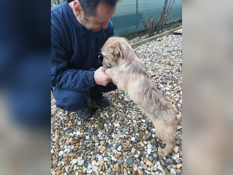 KARMA - kleines fröhliches Mädchen *reserviert*