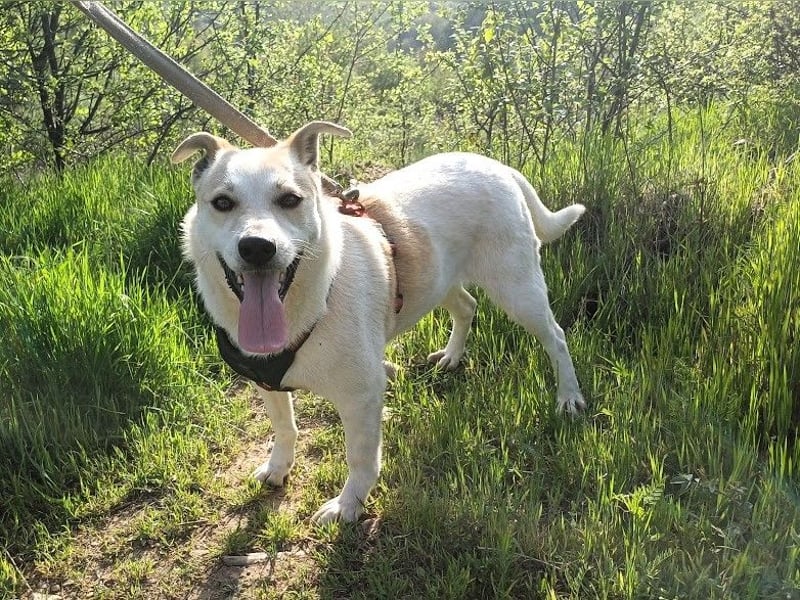 JOY - hofft auf tolle Menschen