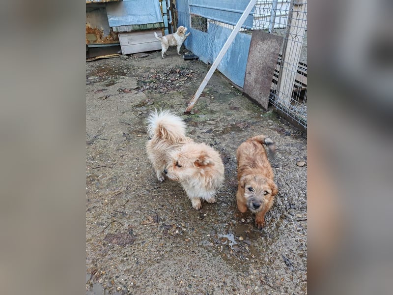 EDAN - ist bereit für sein Abenteuer