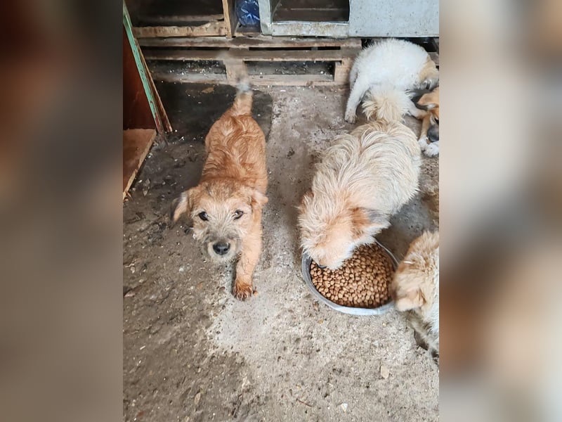 EDAN - ist bereit für sein Abenteuer