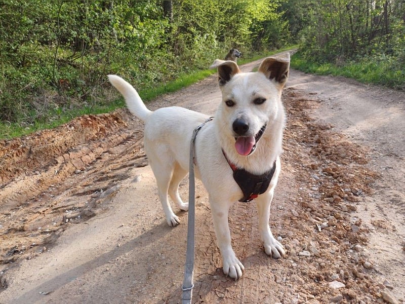 JOY - hofft auf tolle Menschen