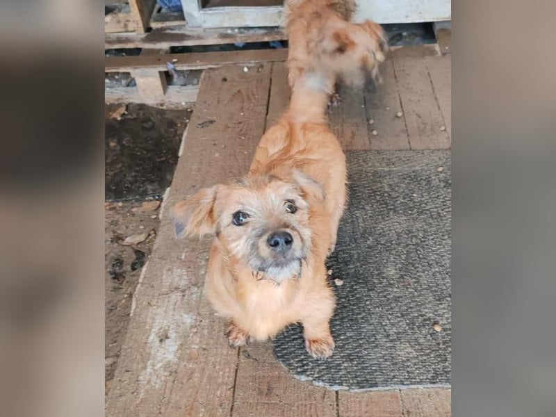 EDAN - ist bereit für sein Abenteuer