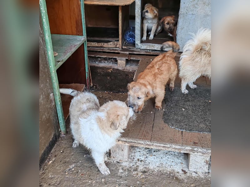 EDAN - ist bereit für sein Abenteuer