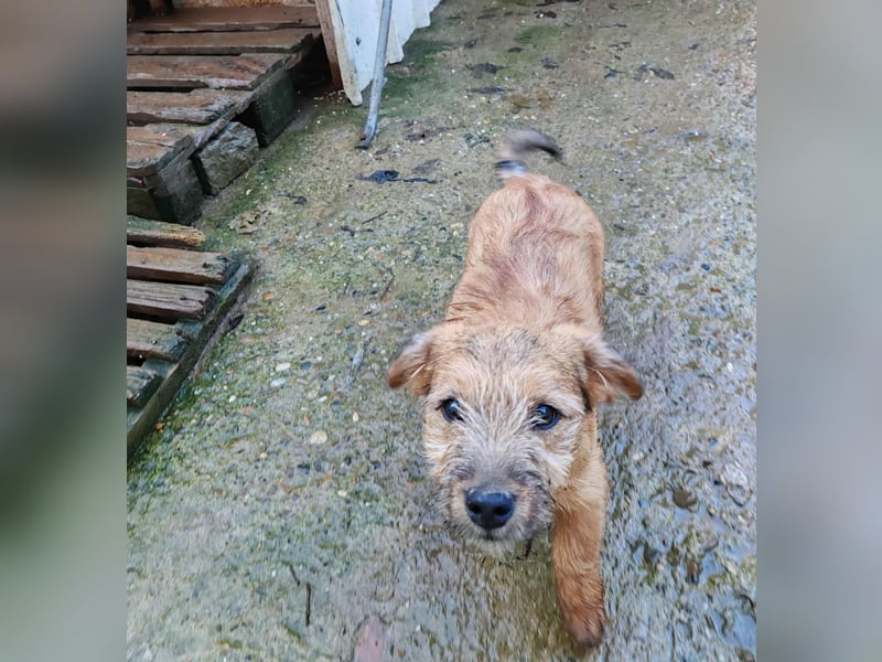 EDAN - ist bereit für sein Abenteuer