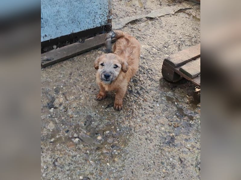 EDAN - ist bereit für sein Abenteuer