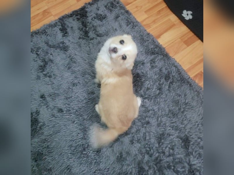 FIFI - kleine Zaubermaus *reserviert*