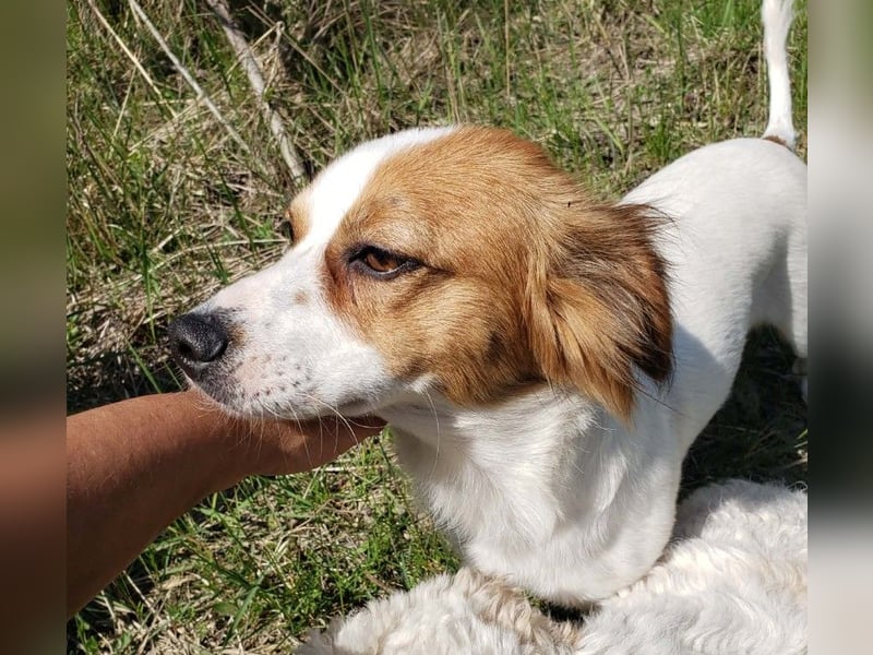 ILA - sanfte Seele sucht ihre Menschen