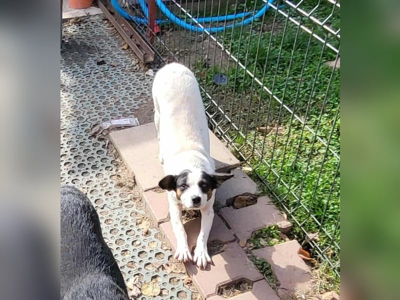 RAMONA - darf sie mit dir die Welt entdecken?