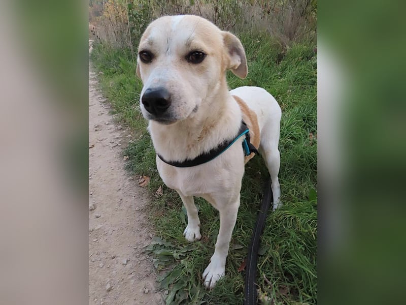 JOY - hofft auf tolle Menschen