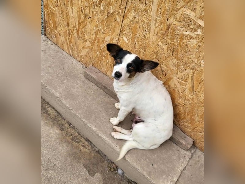 RAMONA - darf sie mit dir die Welt entdecken?