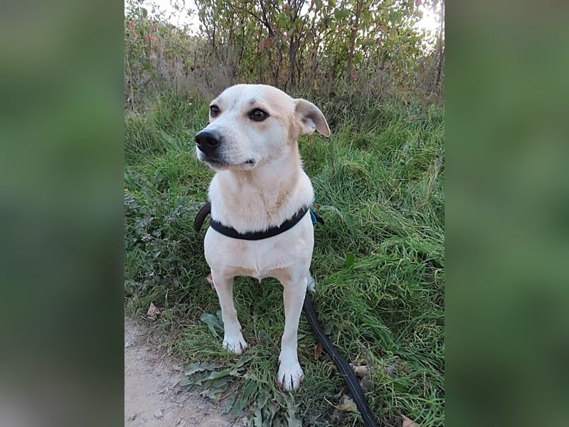 JOY - hofft auf tolle Menschen