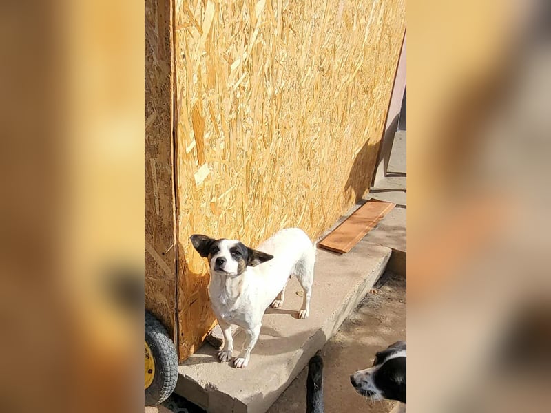 RAMONA - darf sie mit dir die Welt entdecken?