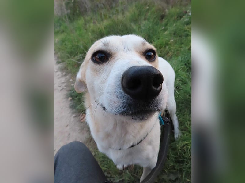 JOY - hofft auf tolle Menschen