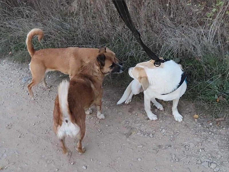 JOY - hofft auf tolle Menschen