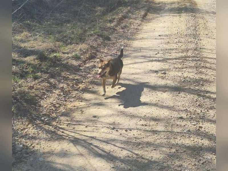 MOLLY - kleine Herzensdame