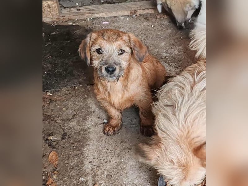 EDAN - ist bereit für sein Abenteuer