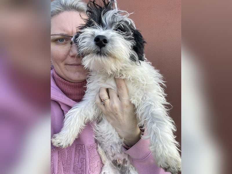 PATCH - sanfte Seele sucht seine Menschen