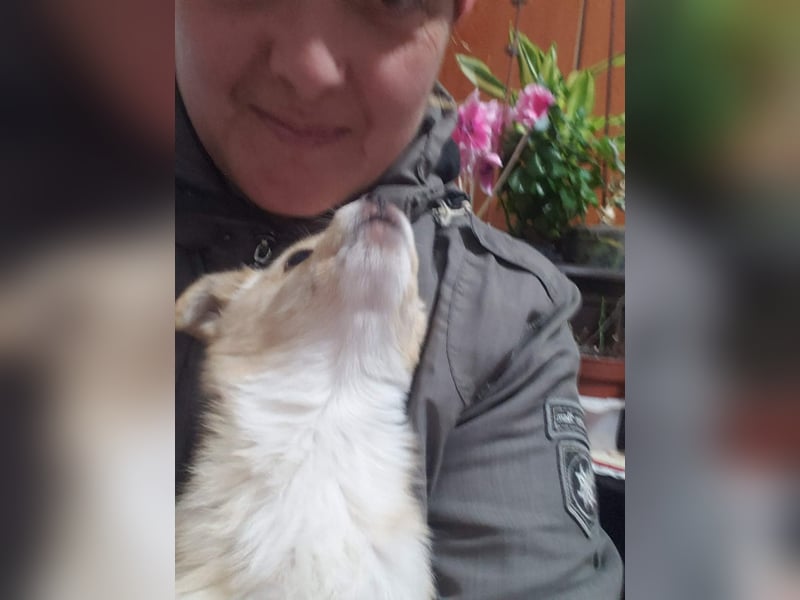 FIFI - kleine Zaubermaus *reserviert*