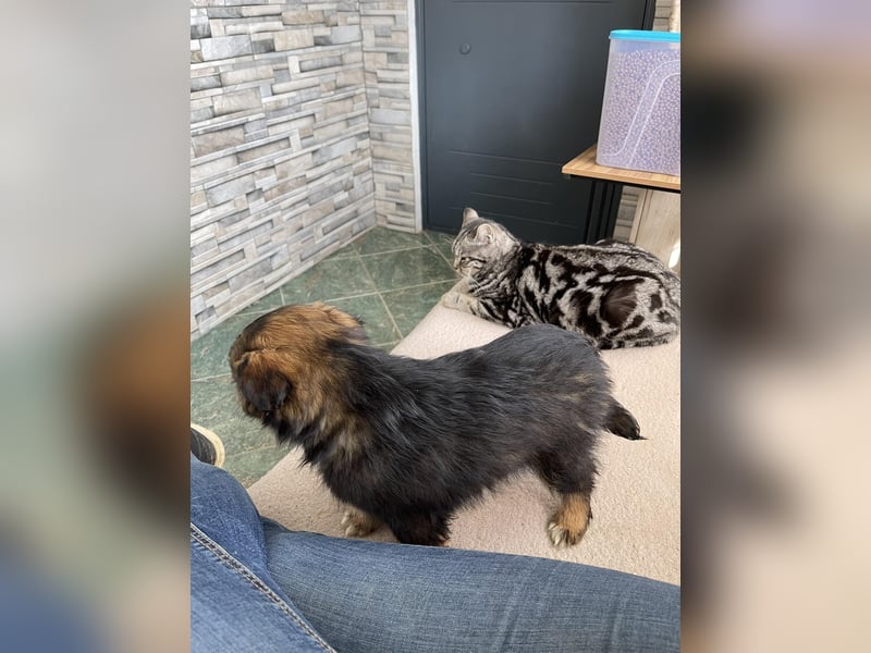 PENNY - kleine Zuckermaus