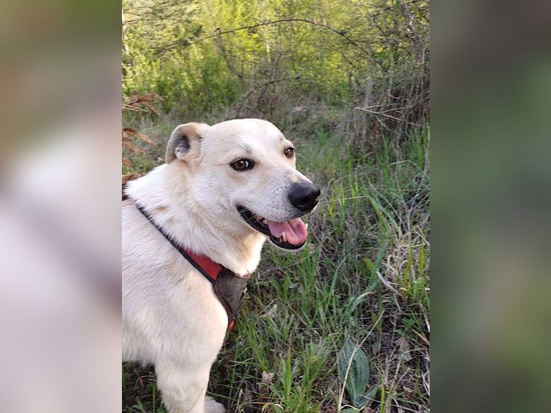 JOY - hofft auf tolle Menschen