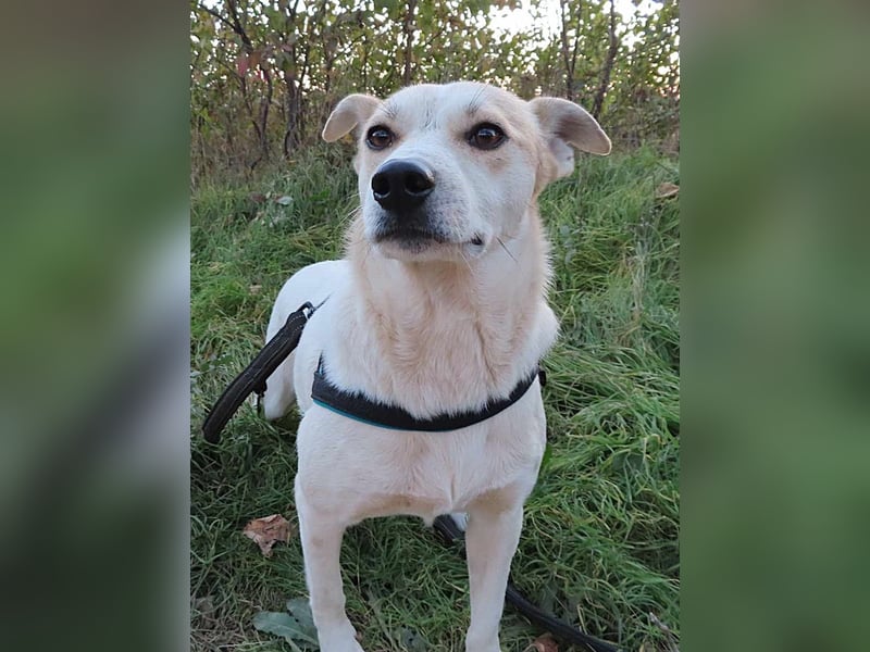 JOY - hofft auf tolle Menschen