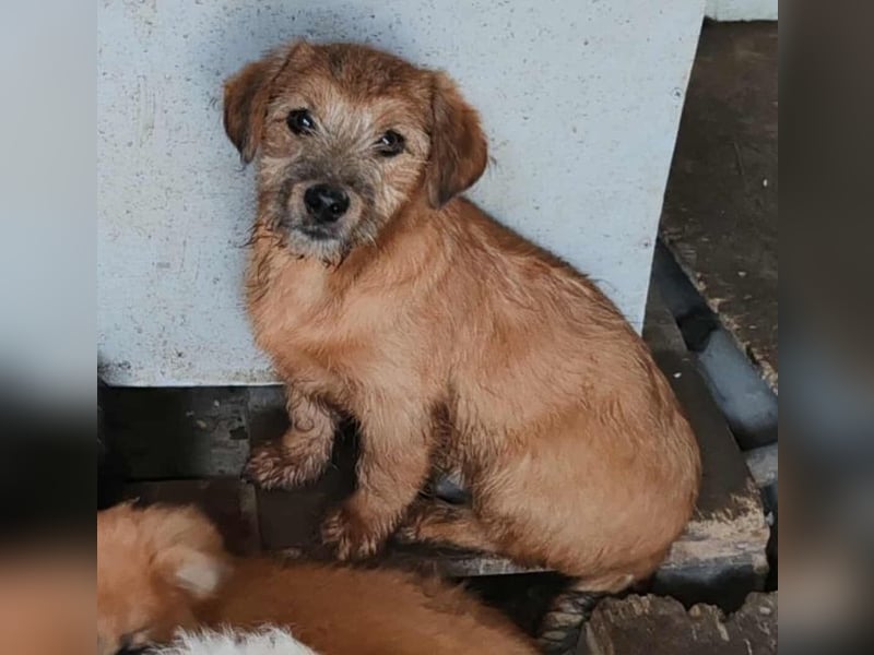 EDAN - ist bereit für sein Abenteuer