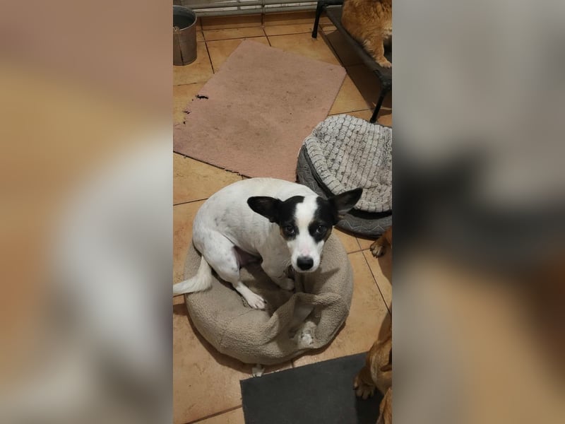 RAMONA - darf sie mit dir die Welt entdecken?