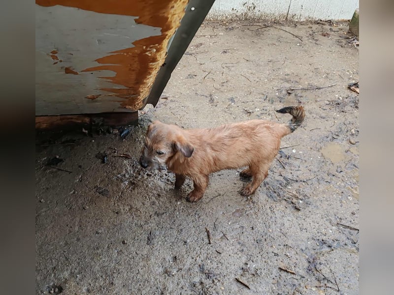 EDAN - ist bereit für sein Abenteuer