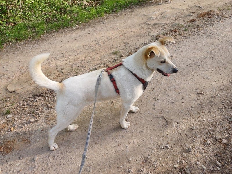 JOY - hofft auf tolle Menschen