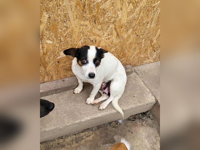 RAMONA - darf sie mit dir die Welt entdecken?