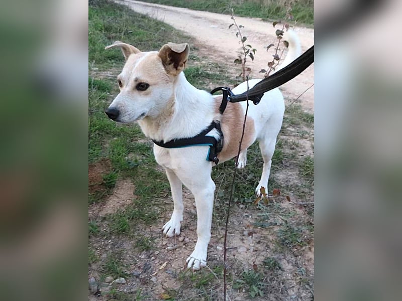 JOY - hofft auf tolle Menschen